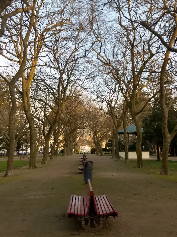 IMG_20190204_172536160_HDR