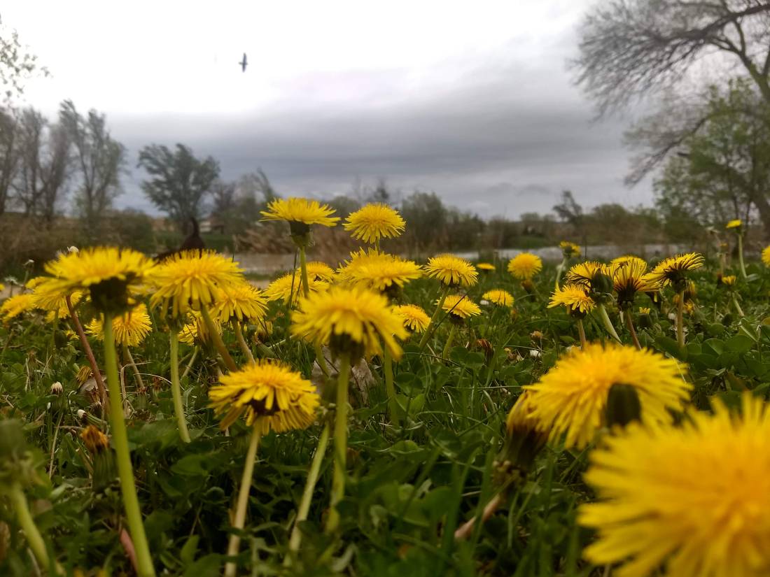 IMG_20190415_165839376_HDR